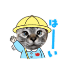 保護猫マロン好日スタンプ9（個別スタンプ：23）