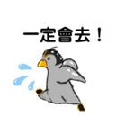 ペンギン村のべべたち 中国語（個別スタンプ：16）