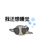ペンギン村のべべたち 中国語（個別スタンプ：30）