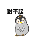 ペンギン村のべべたち 中国語（個別スタンプ：31）