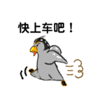 ペンギン村のべべたち 中国語（個別スタンプ：33）