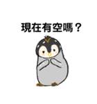 ペンギン村のべべたち 中国語（個別スタンプ：36）