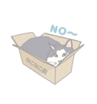 みんなの猫ちゃんスタンプ（個別スタンプ：3）