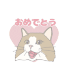 みんなの猫ちゃんスタンプ（個別スタンプ：13）