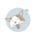 みんなの猫ちゃんスタンプ（個別スタンプ：34）