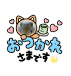 インコちゃん！（個別スタンプ：11）