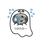 インコちゃん！（個別スタンプ：20）