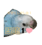 インコちゃん！（個別スタンプ：28）