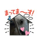 インコちゃん！（個別スタンプ：33）