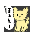 光るねこのスタンプ（個別スタンプ：1）