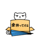 ダンボール猫「達郎」の日々♪（日常使い）（個別スタンプ：4）