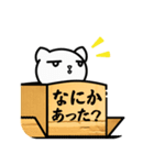 ダンボール猫「達郎」の日々♪（日常使い）（個別スタンプ：22）