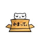 ダンボール猫「達郎」の日々♪（日常使い）（個別スタンプ：25）