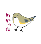 礼文島の鳥仲間（ルリビタキ）（個別スタンプ：6）