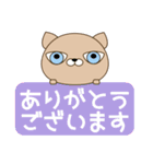 使いやすく見やすい 青い目の猫（敬語)（個別スタンプ：19）