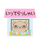 使いやすく見やすい 青い目の猫（敬語)（個別スタンプ：31）