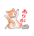 敬語と普通語の猫のスタンプ（個別スタンプ：5）