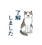 敬語と普通語の猫のスタンプ（個別スタンプ：14）