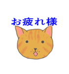 敬語と普通語の猫のスタンプ（個別スタンプ：19）