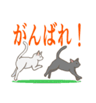 敬語と普通語の猫のスタンプ（個別スタンプ：23）