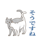 敬語と普通語の猫のスタンプ（個別スタンプ：38）