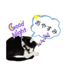 マスオと愉快な仲間達2（個別スタンプ：1）