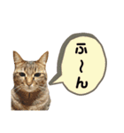 マスオと愉快な仲間達2（個別スタンプ：6）