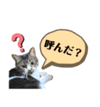 マスオと愉快な仲間達2（個別スタンプ：7）