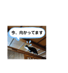 マスオと愉快な仲間達2（個別スタンプ：13）