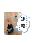 マスオと愉快な仲間達2（個別スタンプ：14）