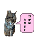 マスオと愉快な仲間達2（個別スタンプ：15）
