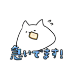 しろもちねこ（個別スタンプ：24）