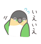 【日常使い】自由なインコと文鳥たち（個別スタンプ：7）