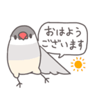 【日常使い】自由なインコと文鳥たち（個別スタンプ：19）