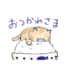 ごはんねこ 〜日常の会話にごはんねこ〜（個別スタンプ：3）