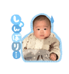 ひまちゃん★思い出スタンプ（個別スタンプ：11）
