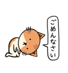 無表情ねこちゃんスタンプ☆（個別スタンプ：9）