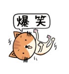 無表情ねこちゃんスタンプ☆（個別スタンプ：23）