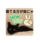 うちの子にゃん（個別スタンプ：3）
