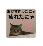 うちの子にゃん（個別スタンプ：14）