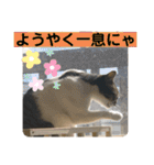 うちの子にゃん（個別スタンプ：15）