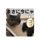 うちの子にゃん（個別スタンプ：16）