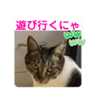 うちの子にゃん（個別スタンプ：23）
