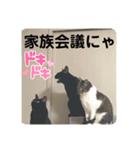 うちの子にゃん（個別スタンプ：28）