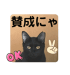 うちの子にゃん（個別スタンプ：36）