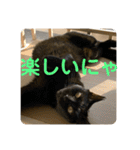 うちの子にゃん（個別スタンプ：40）
