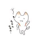 しろいぬハルちゃんスタンプ（個別スタンプ：10）