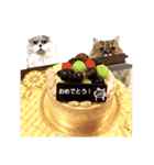 テリィ＆アーチー実写無言ver（個別スタンプ：21）