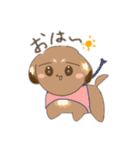 うちの犬ぽんず！！（個別スタンプ：1）