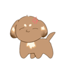 うちの犬ぽんず！！（個別スタンプ：7）